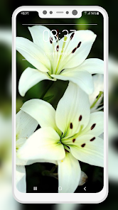 Captura de Pantalla 7 Lily Wallpaper android