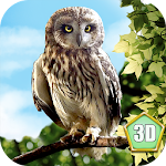 Cover Image of ดาวน์โหลด Wild Owl Simulator 3D  APK