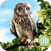 Wild Owl Simulator 3D