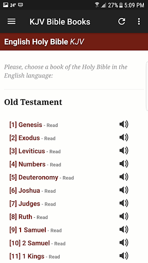 King James Audio Bible - Pro Screen 2