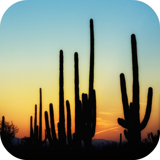 Cactus Wallpapers  Icon