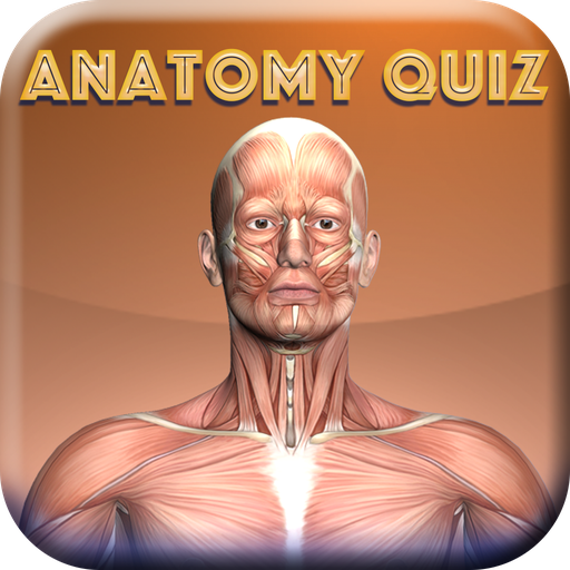 Anatomy Quiz  Physiology Quiz Test Your Knowledge