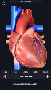 Heart Anatomy Pro. Unknown