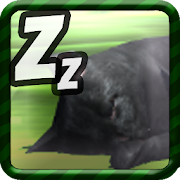 Sleep for cats (with Binaural beats)  Icon