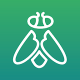 Greenfly icon