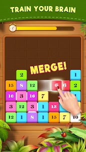 Drag n Merge: Block Puzzle 2