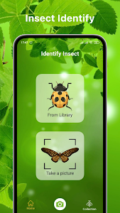 Bug Identifier Bug Finder Unknown