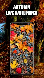 Autumn Wallpaper Live HD/3D/4K
