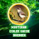 Masteran Ciblek Gacor Ngebren - Androidアプリ