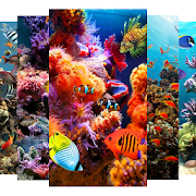 Top 20 Personalization Apps Like Aquarium Screensaver - Best Alternatives