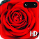 Red Rose Live Wallpaper Free icon
