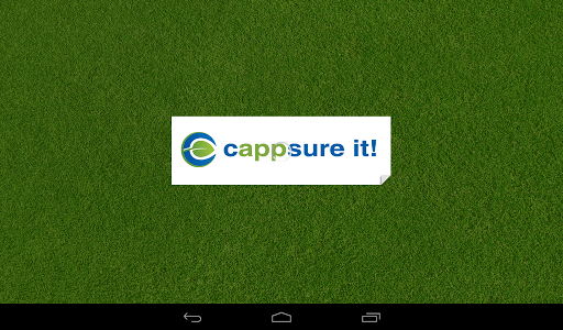 Cappsure it Screenshot 1 - AppWisp.com