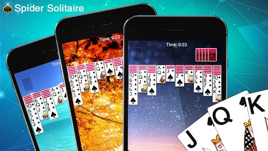 Spider Solitaire For PC installation