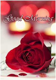 Good morning Flower Wallpapers Colorful Roses 4K(圖2)-速報App