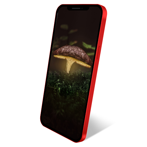 Android application Nature HD 4K Wallpapers 2023 screenshort