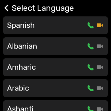 Screenshot of Day Interpreting