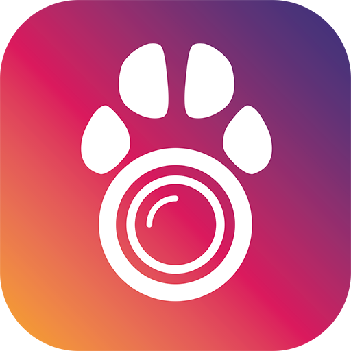 PetCam App - Dog Camera App  Icon