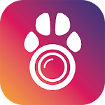 PetCam App - Dog Camera App Apk