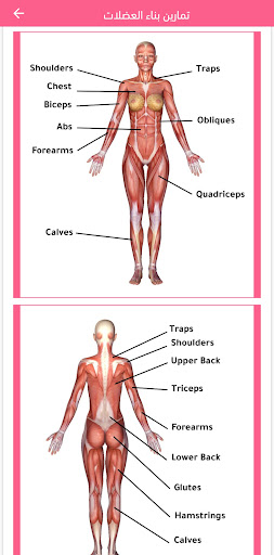 Logo https://play-lh.googleusercontent.com/_5CarheO7VNBzSPAI1UK9hXg9Hur8v4HJ1XF7R5QNSuGSnNQMX2yFu0I_VgFTAWfa8q4