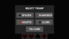 screenshot of 29 Card Game