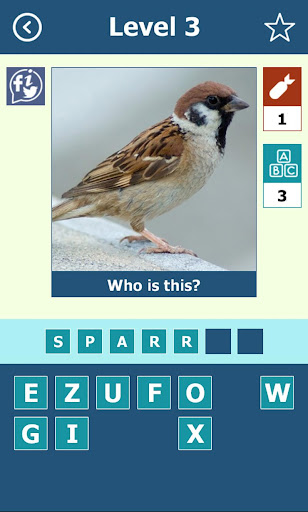 Birds Quiz