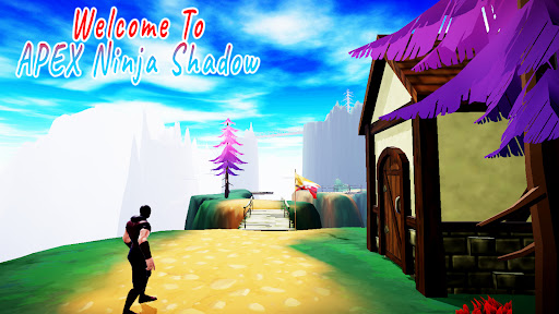 Apex Ninja Shadow Adventure