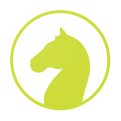 Chess Knight Puzzles logo