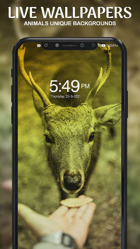 Live Wallpaper - 2021 Screen 2