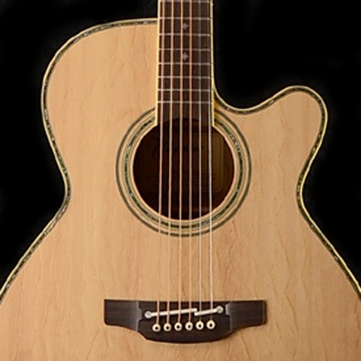 Guitar Chords and Scales logo