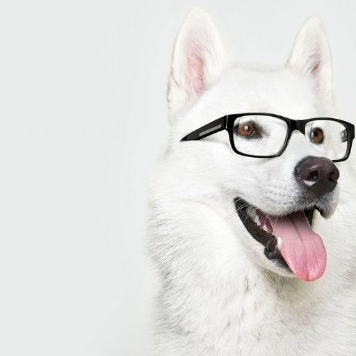 1 картинка и несколько слов Laai af op Windows