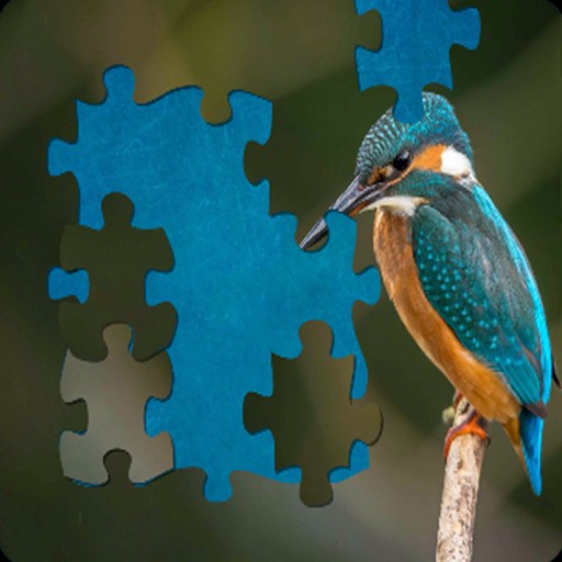 Jigsaw Puzzle game