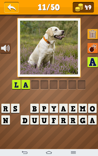 Dog Breeds Quiz