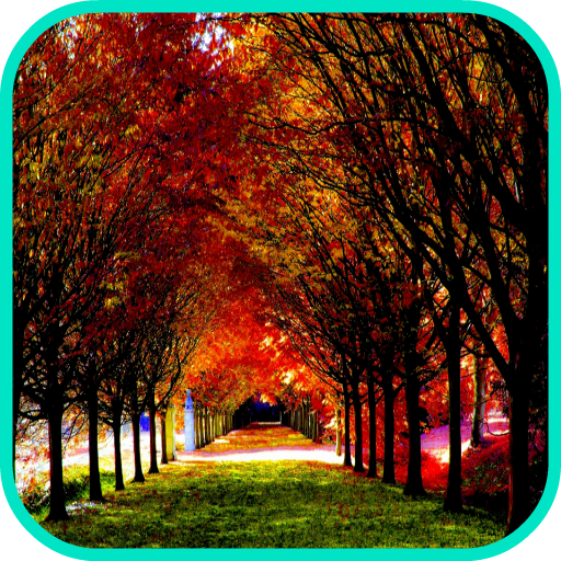 Autumn Wallpaper - Apps on Google Play