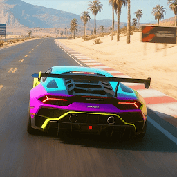 Real Driving : Fast Racing