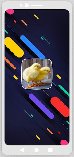 Android application Baby Chicks Sounds screenshort