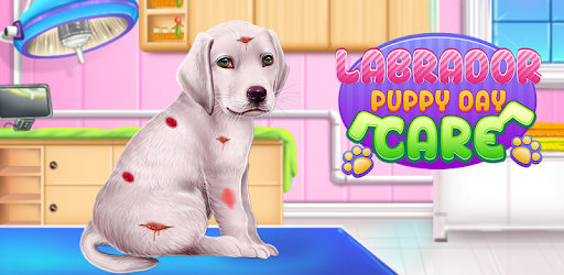 Labrador Puppy Day Care cover
