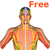 Health by Acupressure 3D Free icon