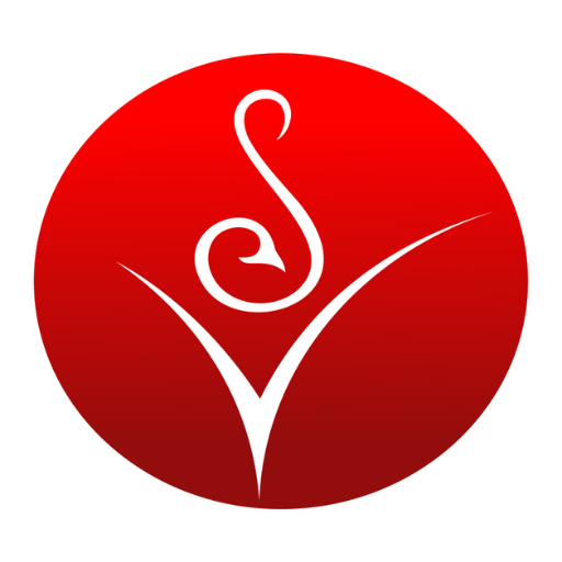 SV Academy logo