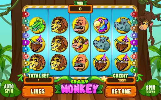 Crazy Monkey Slot Machine