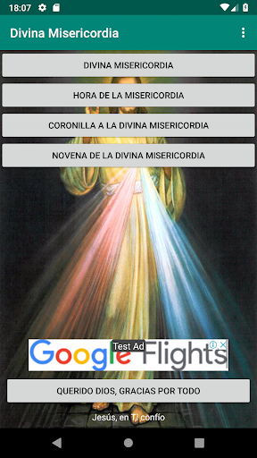 Vista previa de la aplicación