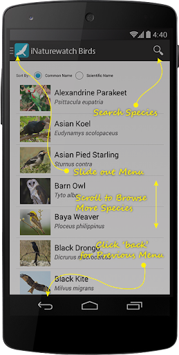 iNaturewatch Birds Screen 2
