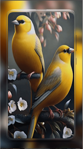 Birds Wallpaper 4K