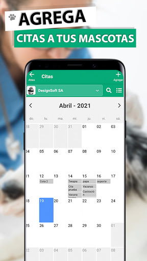 Veterinaria Screen 3