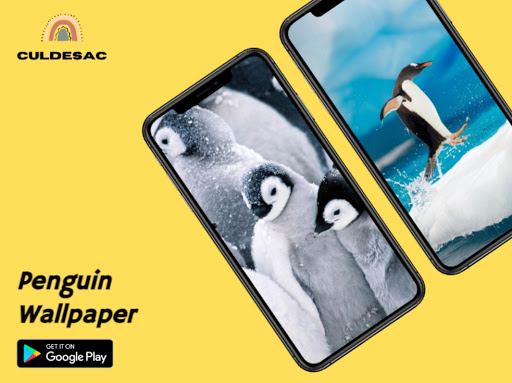 Penguin Wallpaper Cute - Free