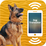 Dog translator (PRANK) icon