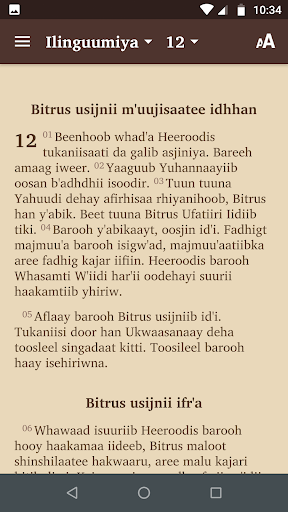 Beja Bible Screen 2
