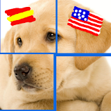 Spanish & Puzzles USA: Animals icon