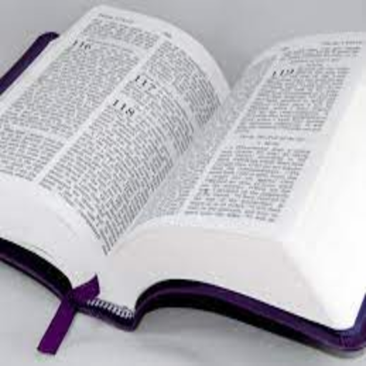 La Sainte Bible logo