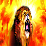 Fire Lion Fire Live Wallpaper icon