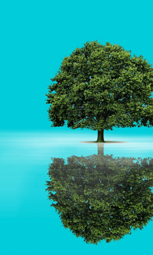 World Environment Day Wallpapers